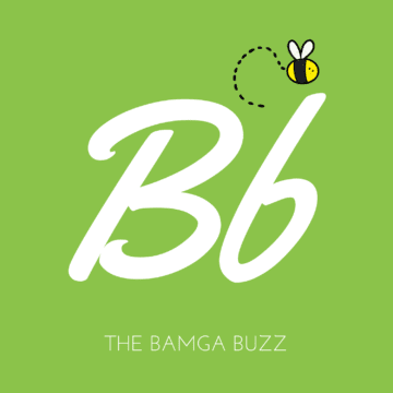 The BAMGA Buxx Newsletter Logo