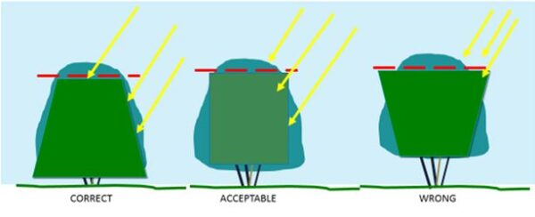 Pruning Facts
