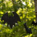 Bat hanging in a tree