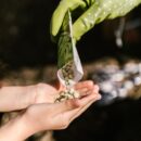 Seeds pouring into a hand